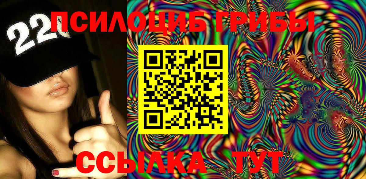 Галлюциногенные грибы Psilocybine cubensis Когалым