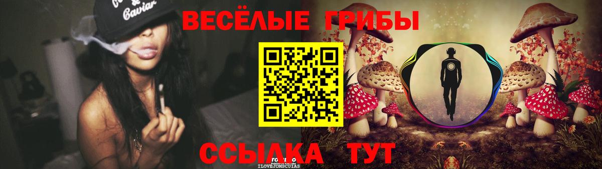 Когалым  Псилоцибиновые грибы MAGIC MUSHROOMS  Галлюциногенные грибы Cubensis  Вход с VPN 